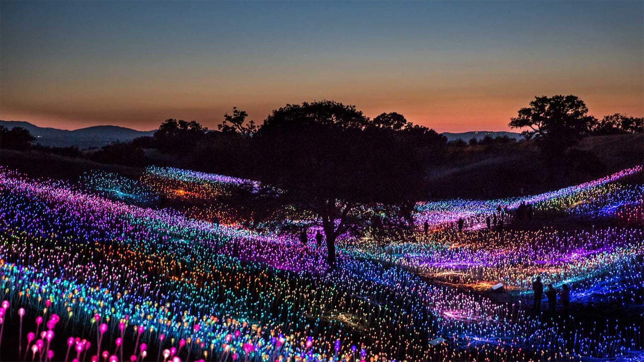 'Field of Light at Sensorio,' by Bruce Munro, Paso Robles, California (© George Rose/Getty Images) desktop wallpaper