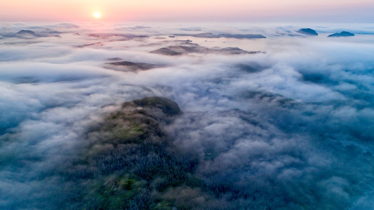 Low-lying fog along the coast, Newfoundland and Labrador (© Scott Leslie/Minden Pictures) desktop wallpaper