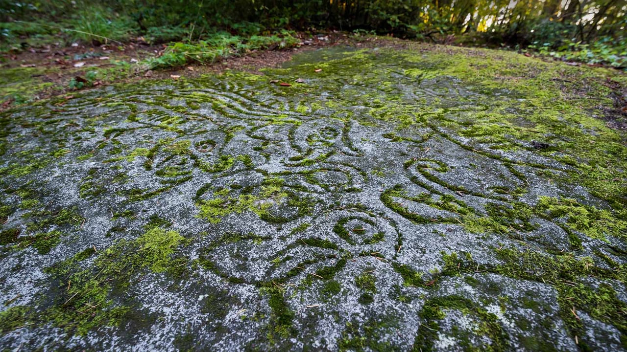 Ancient rock carvings at Petroglyph Provincial Park in Nanaimo, Canada (© Chase Clausen/Shutterstock) desktop wallpaper