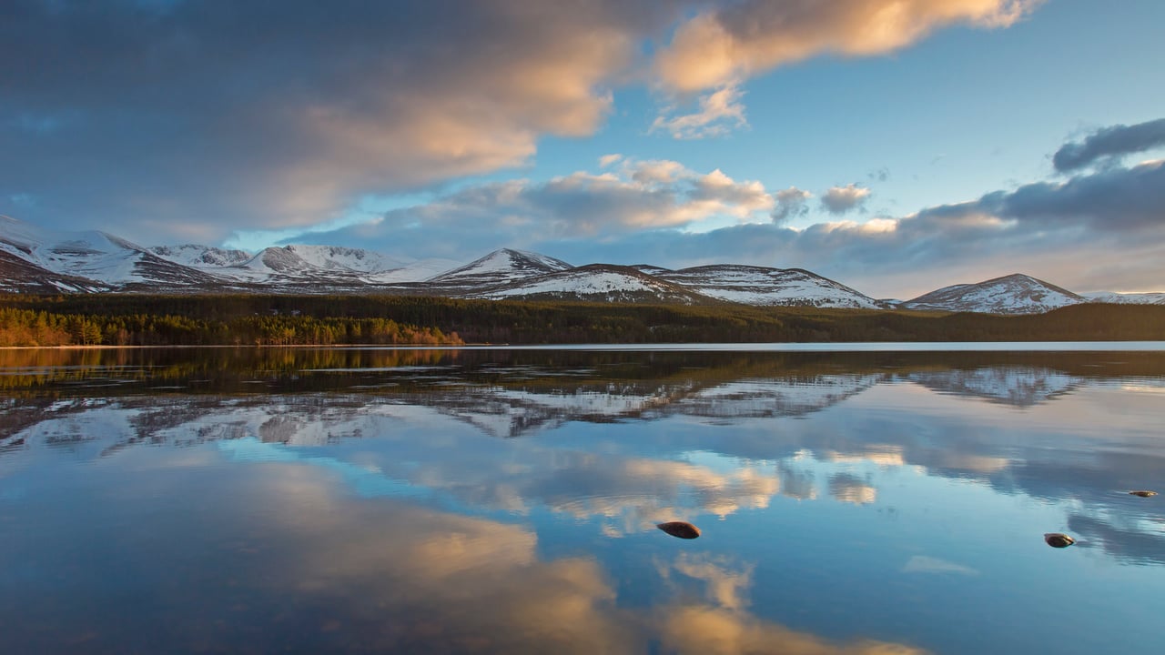 Loch Morlich, Cairngorms National Park, Scotland (© Arterra/Universal Images Group/Getty Images) desktop wallpaper