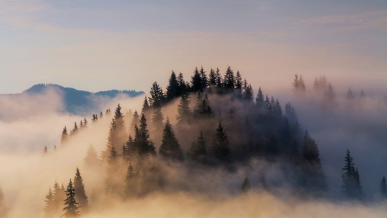 Fog shrouds the Bavarian Alps in Germany (© Anton Petrus/Getty Images) desktop wallpaper