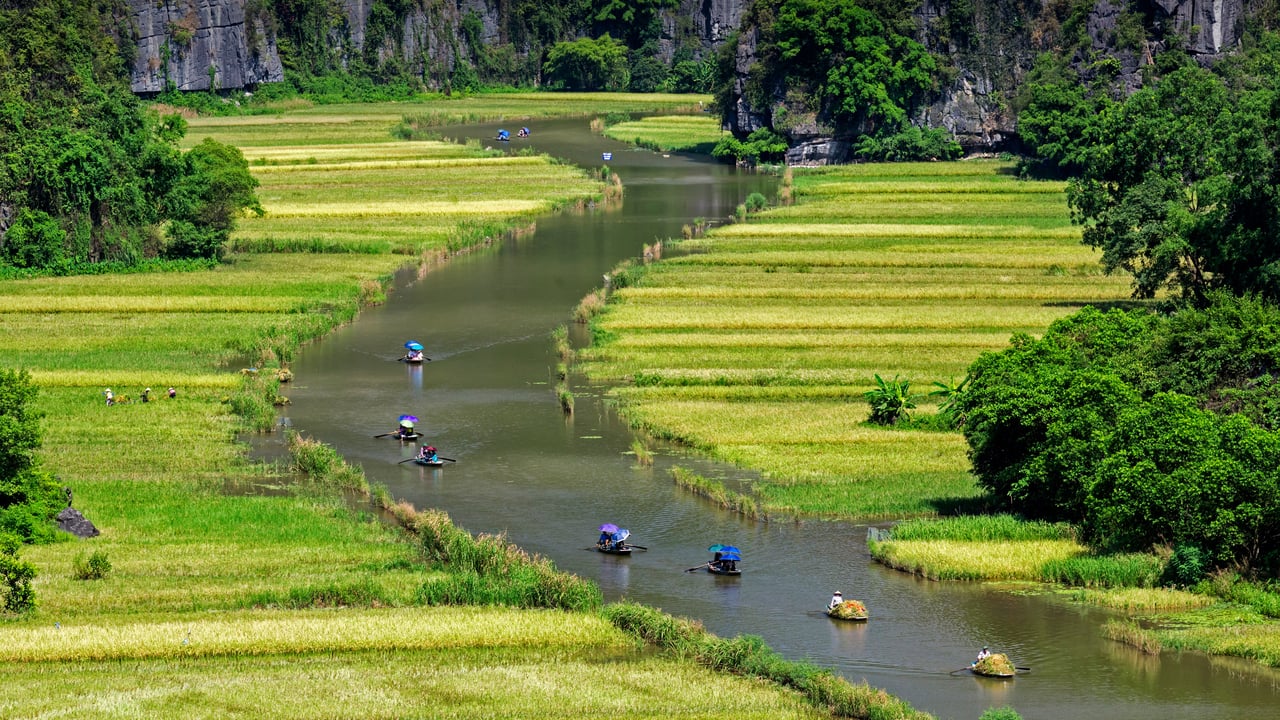 Boats float by rice fields on the Ngo Dong River in Ninh Bình province, Vietnam (© Jeremy Woodhouse/Getty Images) desktop wallpaper