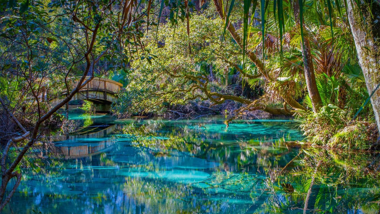 Juniper Springs in Ocala National Forest, Florida (© Michael Warren/Getty Images) desktop wallpaper