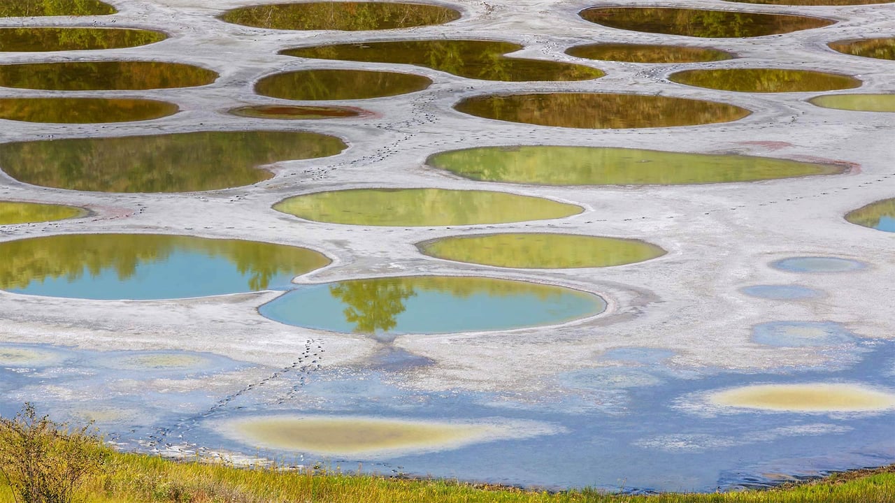 Spotted Lake in the Okanagan region of British Columbia, Canada (© Galyna Andrushko/Shutterstock) desktop wallpaper