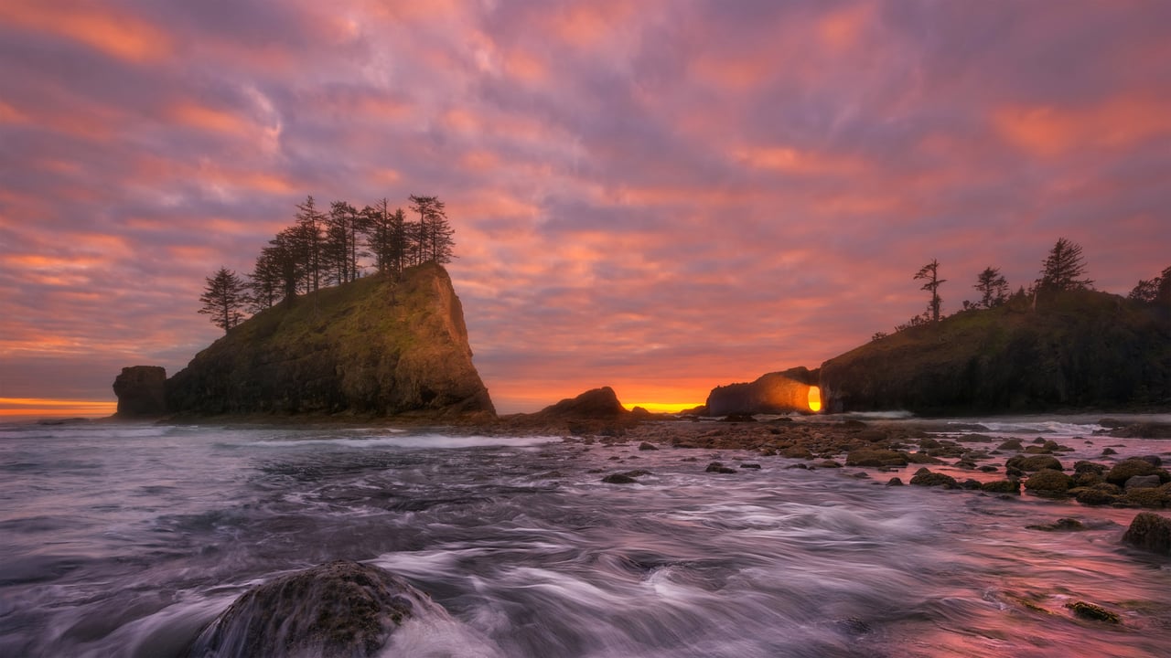 The shoreline of Olympic Coast National Marine Sanctuary, Washington state (© Chris Moore/Tandem Stills + Motion) desktop wallpaper