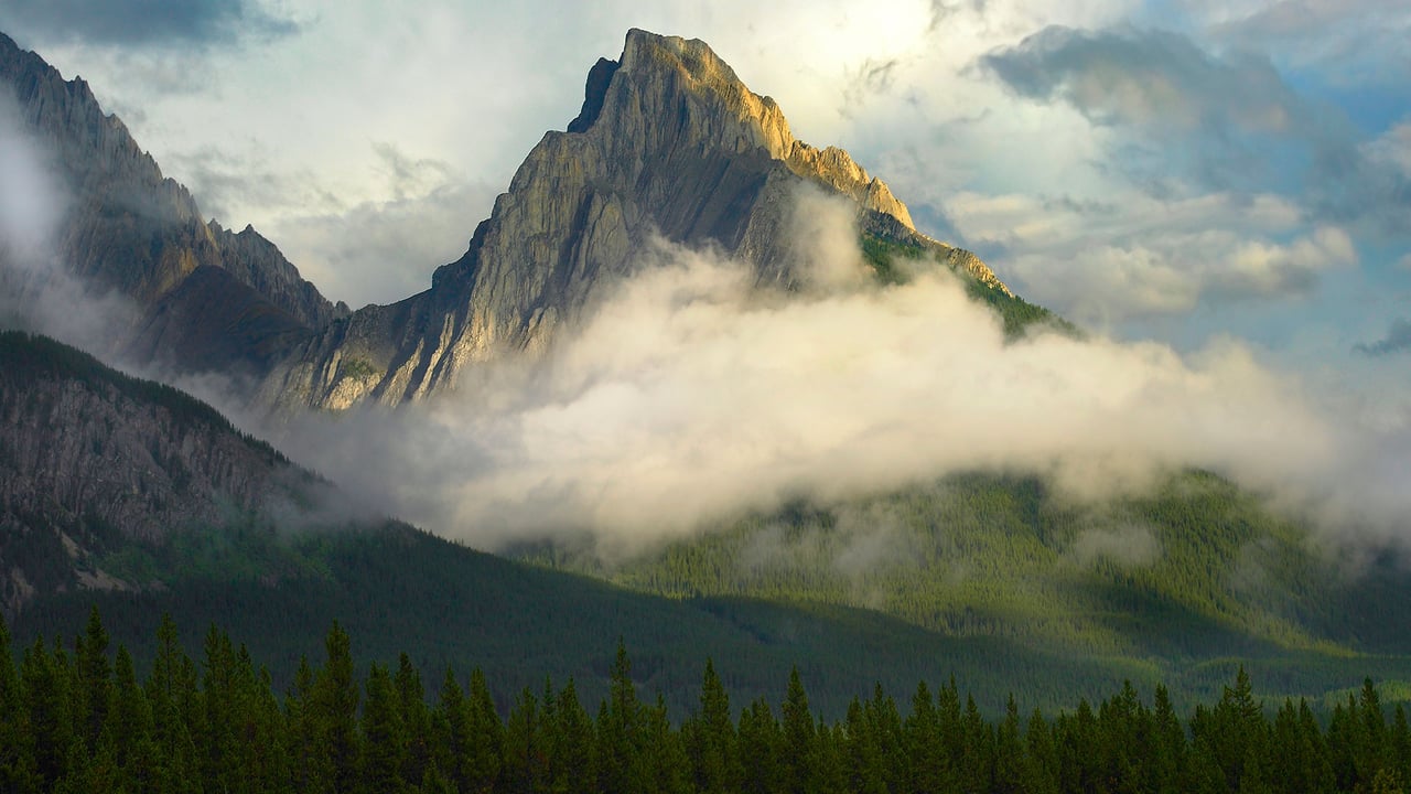 Opal Range surrounded by fog, Kananaskis Country, Alberta, Canada (© Tim Fitzharris/Minden Pictures) desktop wallpaper