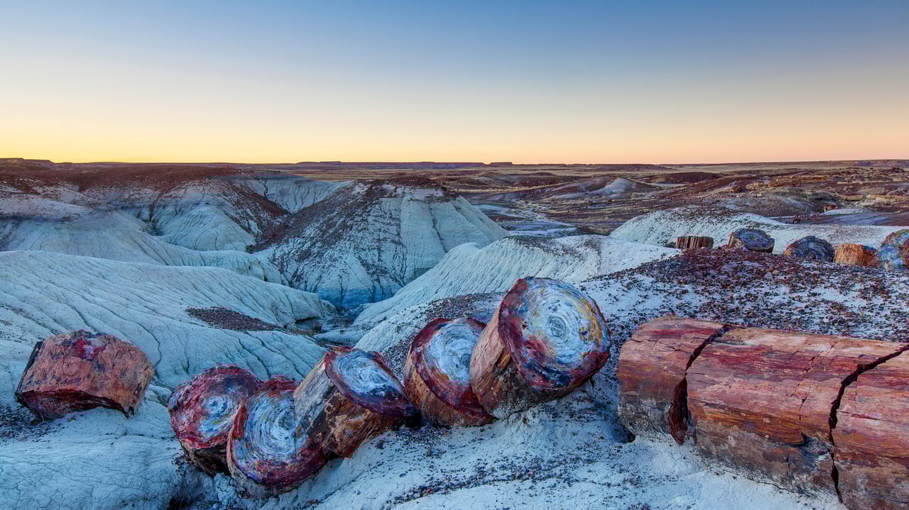 Petrified Forest National Park, Arizona (© Ian Shive/Tandem Stills + Motion) desktop wallpaper