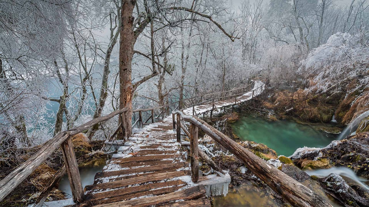 Elevated path in Plitvice Lakes National Park, Croatia (© Alessandro Laporta/Offset by Shutterstock) desktop wallpaper