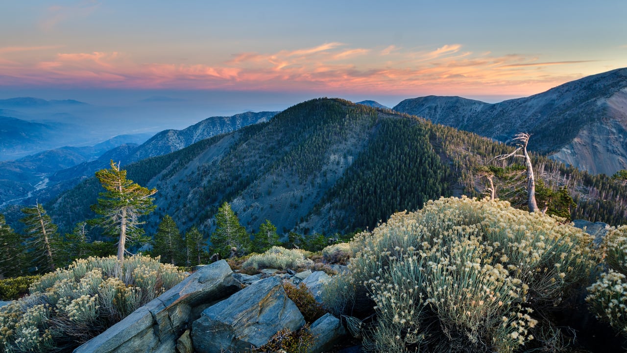 Summit of Pine Mountain, Angeles National Forest, California (© Matthew Kuhns/TANDEM Stills + Motion) desktop wallpaper