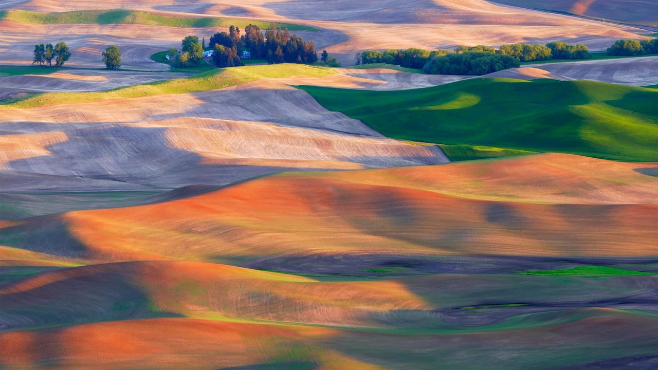 Farmland in the Palouse, Washington (© EJ-J/Getty Images) desktop wallpaper