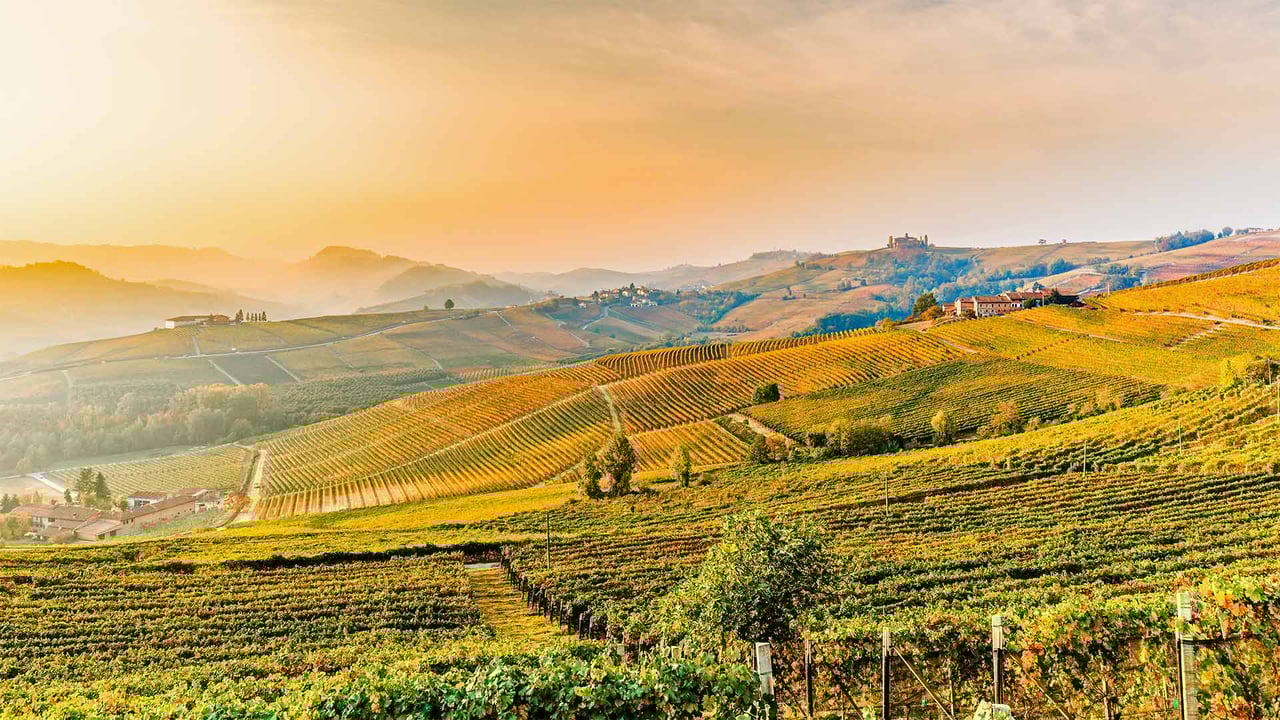 Vineyards near Barolo, Piedmont, Italy (© Marco Arduino/eStock Photo) desktop wallpaper