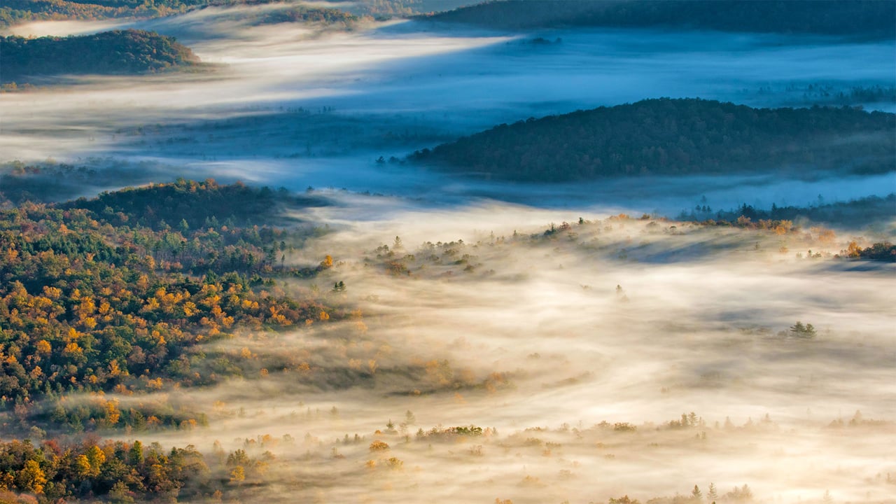 View of Pisgah National Forest near Brevard, North Carolina (© Adam Jones/Danita Delimont) desktop wallpaper