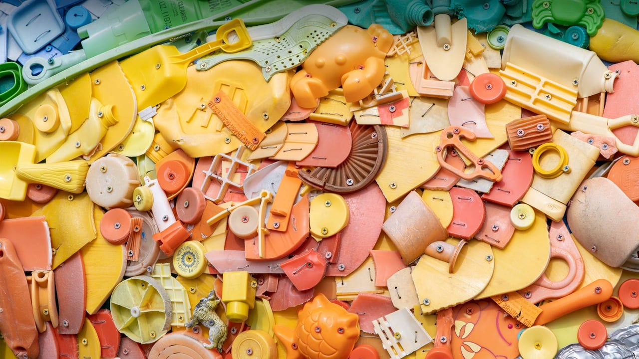 'Priscilla the Parrotfish' art installation at Como Park Zoo & Conservatory, St. Paul, Minnesota (© Michael Siluk/UCG/Universal Images Group via Getty Images) desktop wallpaper