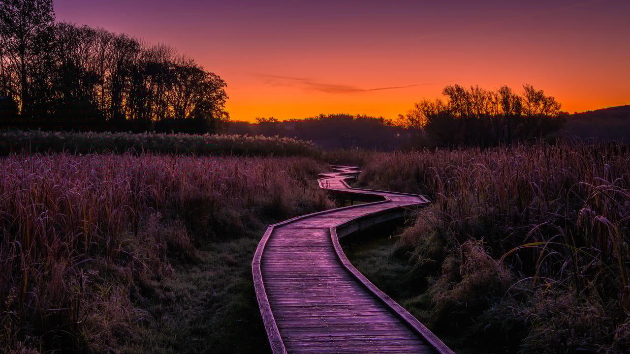Stairway to Heaven trail in Wawayanda State Park, New Jersey (© Leembe/Getty Images) desktop wallpaper