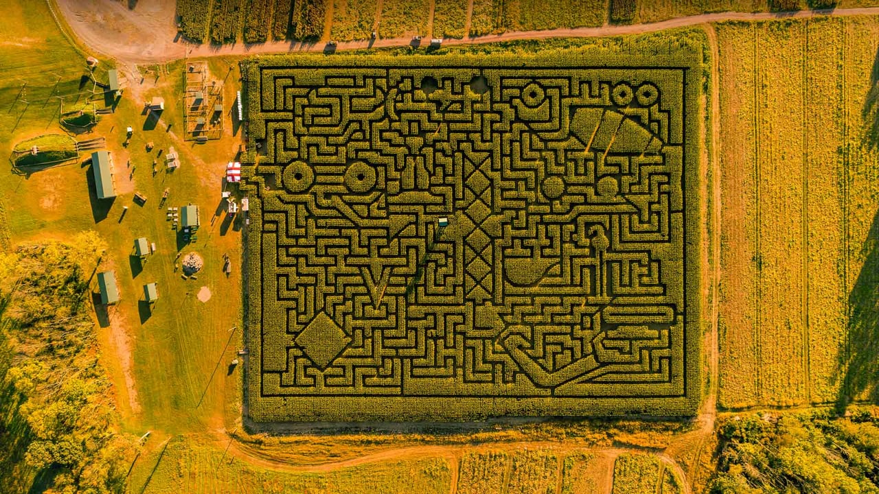 Corn maze in Saylorsburg, Pennsylvania (© Alex Potemkin/Getty Images) desktop wallpaper
