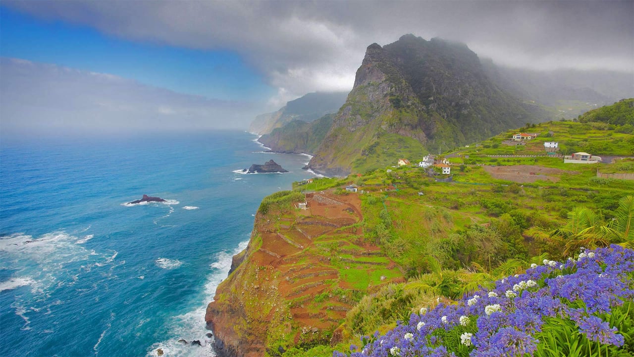 Coast near Ponta Delgada, Madeira, Portugal (© Jan Wlodarczyk/Alamy) desktop wallpaper