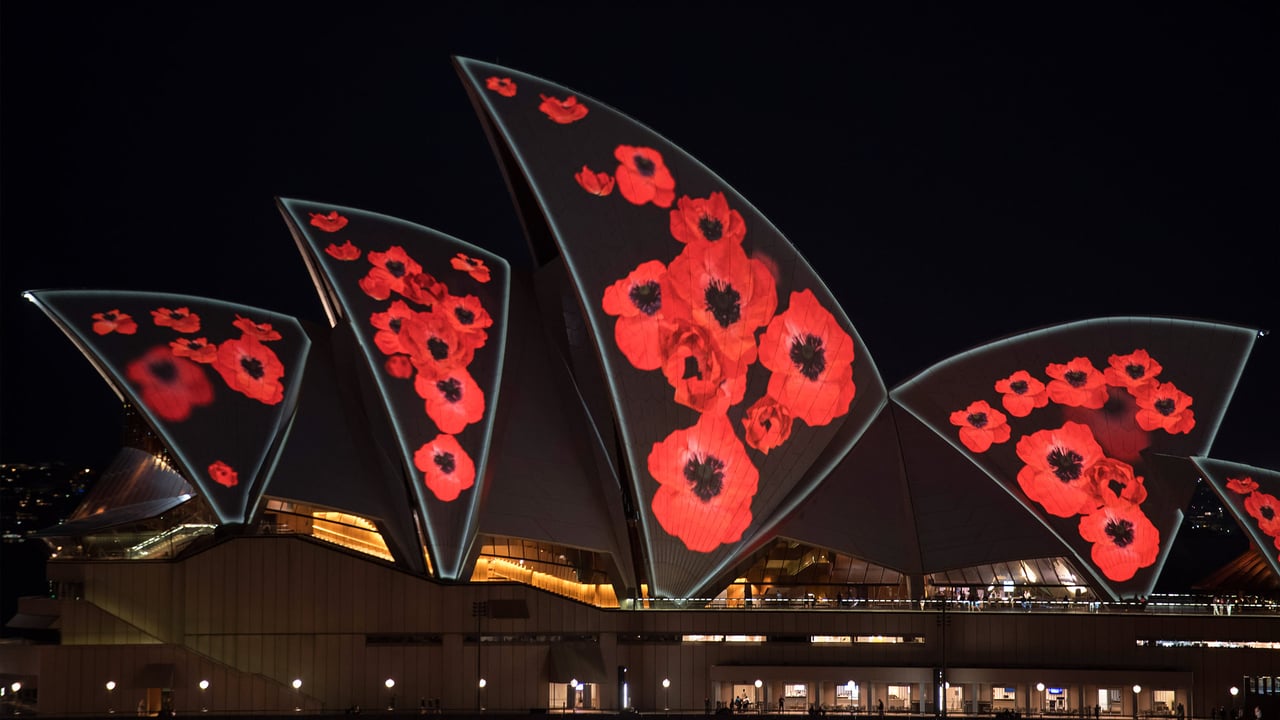 Poppies projected on the Sydney Opera House sails to mark Remembrance Day (© James D. Morgan/Getty Images) desktop wallpaper