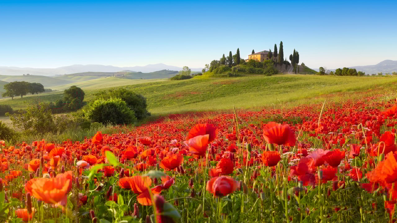 San Quirico d’Orcia, Toscana (© Fabio Muzzi/Connect Images/Alamy Stock Photo) desktop wallpaper