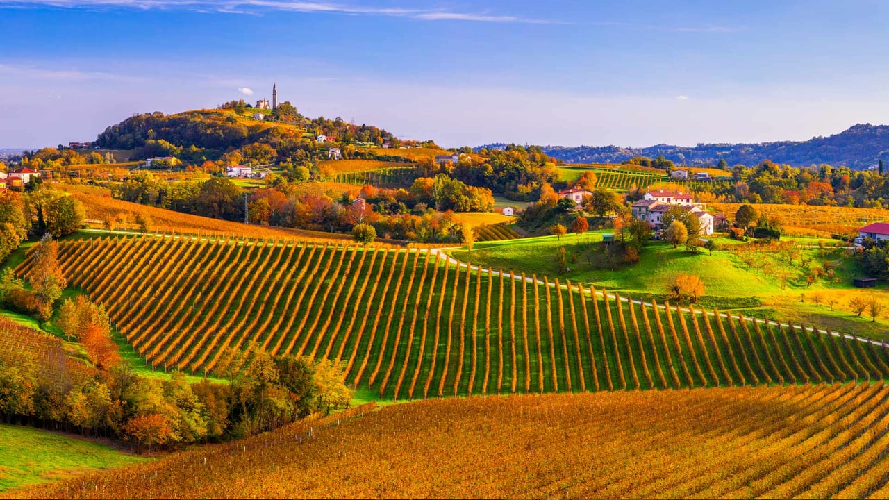 Prosecco Hills of Conegliano and Valdobbiadene, Veneto, Italy (© Olimpio Fantuz/eStock Photo) desktop wallpaper