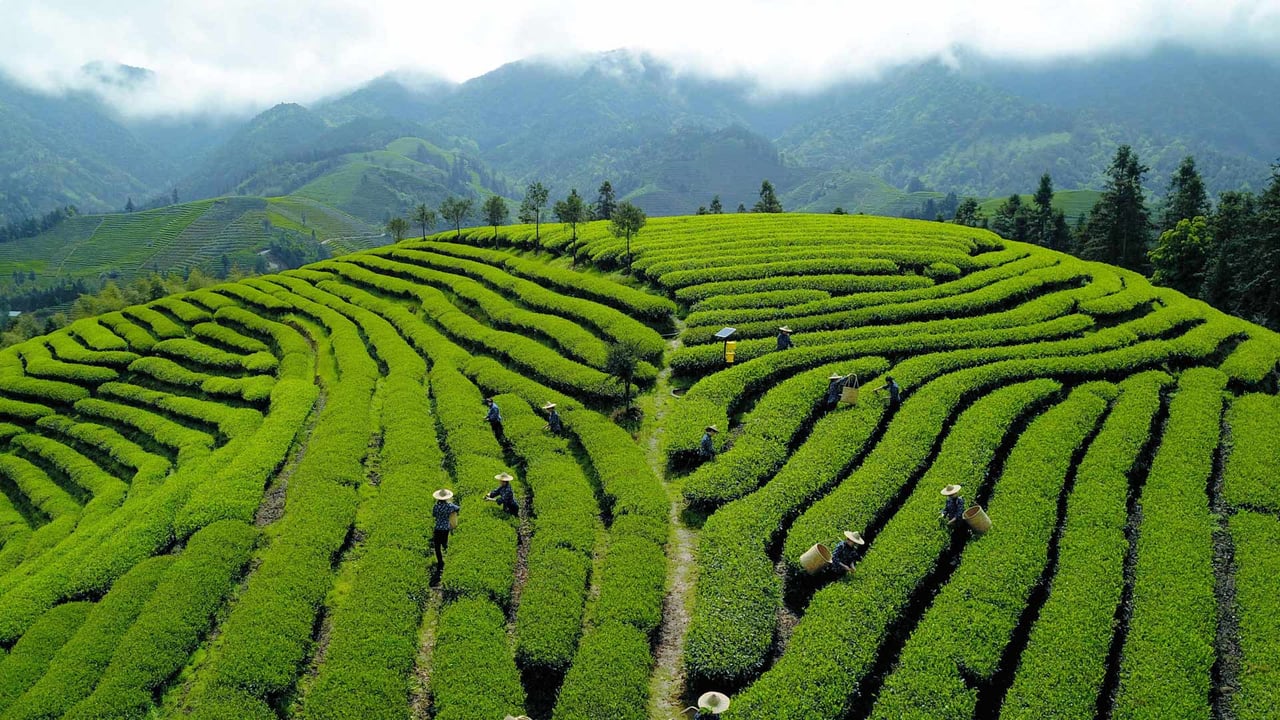 【今日清明节】 (© Xinhua/Alamy Stock Photo) desktop wallpaper