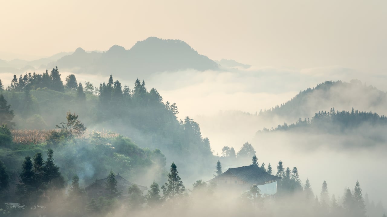 【今日清明】( © yangphoto ) desktop wallpaper
