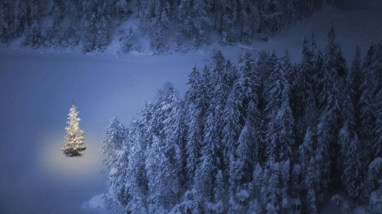 Christmas tree at Weissensee, a small lake near Ehrwald in Tyrol, Austria (© nagelestock/Alamy) desktop wallpaper