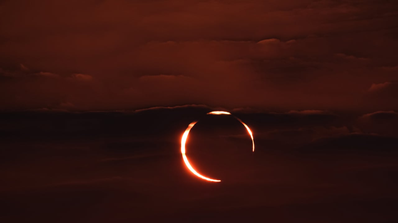 'Ring of fire' annular solar eclipse, Doha, Qatar (© Sorin Furcoi/Getty Images) desktop wallpaper