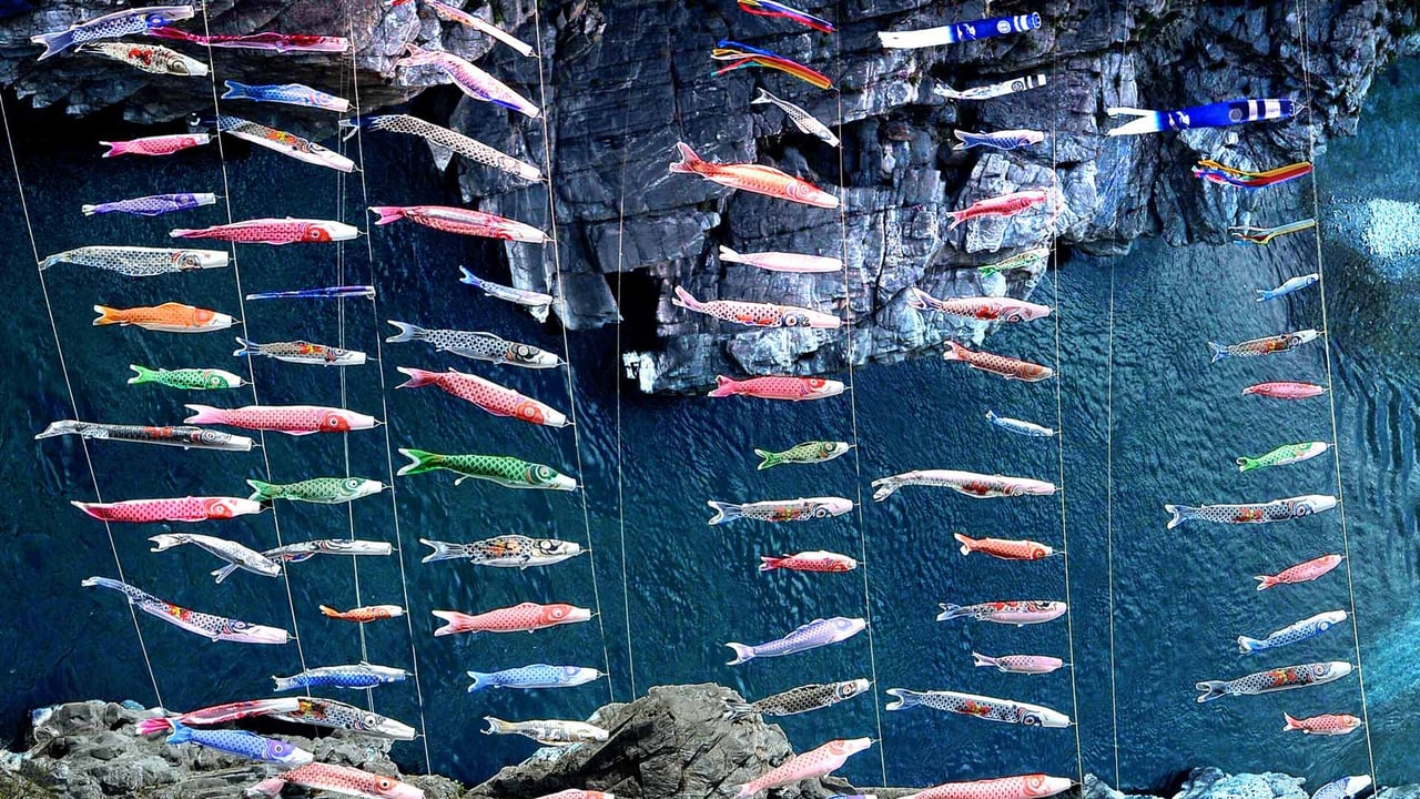 「大歩危峡のこいのぼり」徳島県, 三好市 (© Photo by The Asahi Shimbun via Getty Images) desktop wallpaper