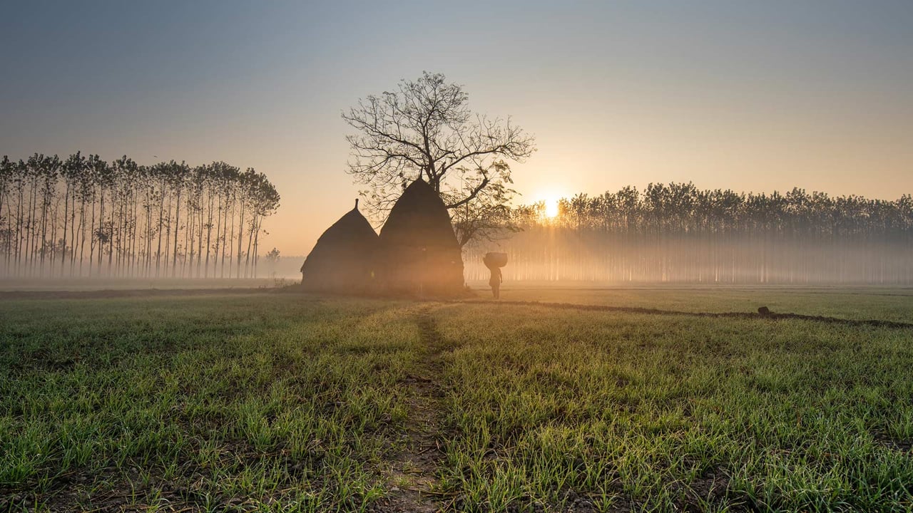 A field with thatched-roof huts, Punjab, India (© Jatin Malhotra/500px/Getty Images) desktop wallpaper