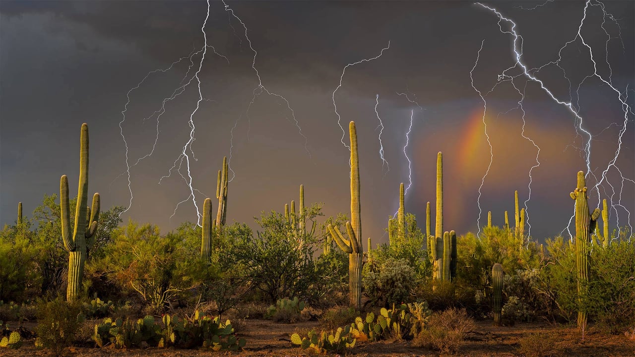 Lightning storm in the Tortolita Mountain foothills, north of Tucson, Arizona, in the Sonoran Desert (© Jack Dykinga/Minden Pictures) desktop wallpaper