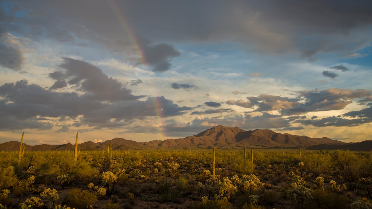 Rainbow over Wasson Peak, Saguaro National Park, Arizona (© Frank Staub/Getty Images) desktop wallpaper