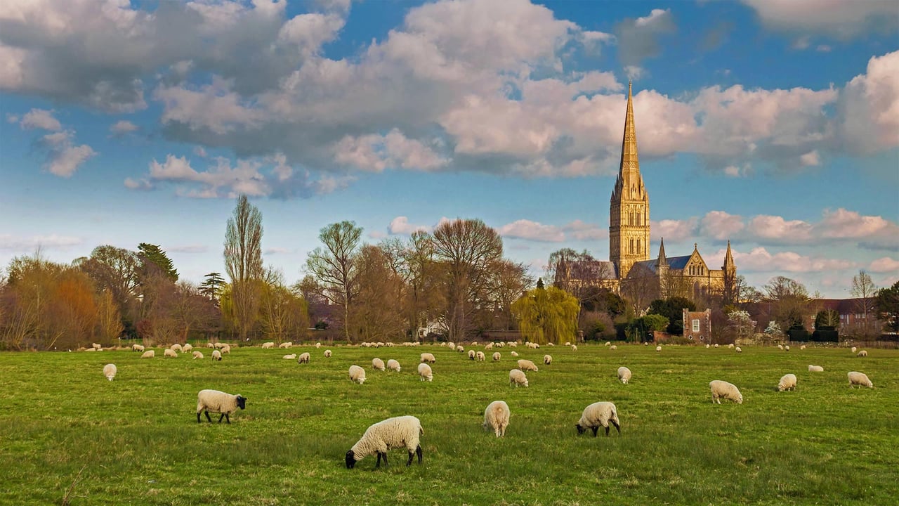 Salisbury Cathedral with flock of grazing sheep, England (© Slawek Staszczuk Photo/Alamy) desktop wallpaper