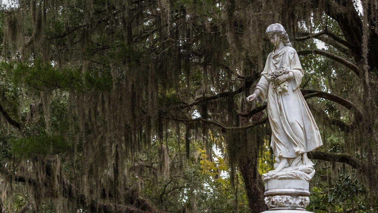 Bonaventure Cemetery, Savannah, Georgia (© Kelly vanDellen/Alamy) desktop wallpaper
