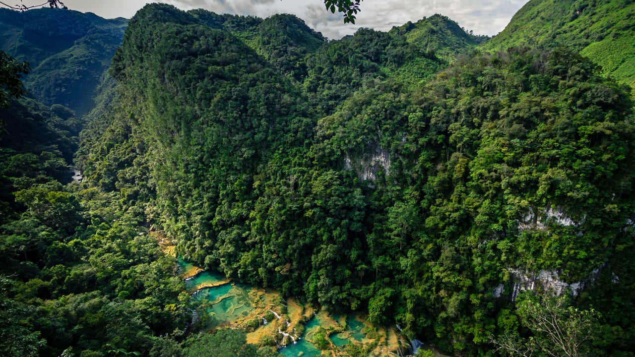 Semuc Champey, a nature park in Guatemala (© Joel Sharpe/Getty Images) desktop wallpaper