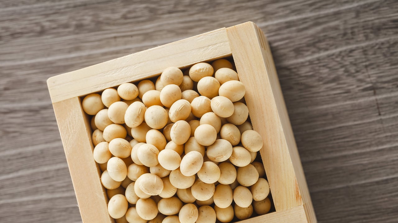 枡いっぱいの節分の福豆 (© Nishihama/Shutterstock) desktop wallpaper