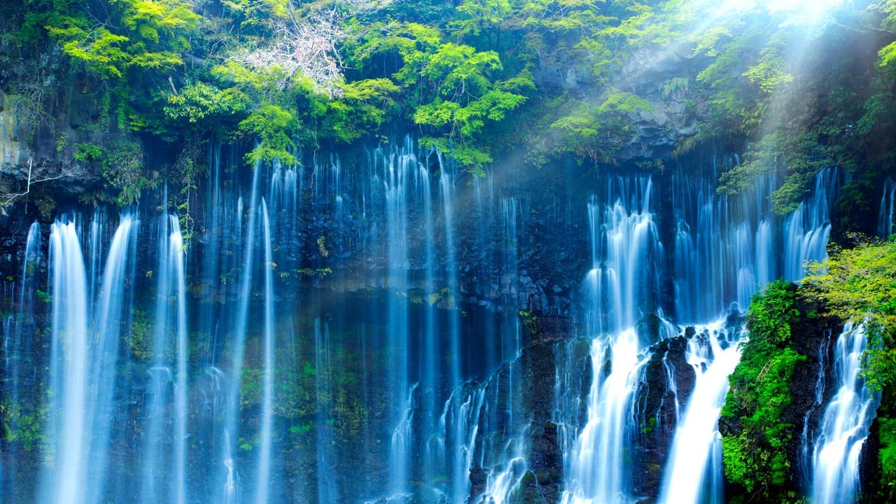「白糸の滝」静岡, 富士宮市 (© SHOSEI/Aflo) desktop wallpaper