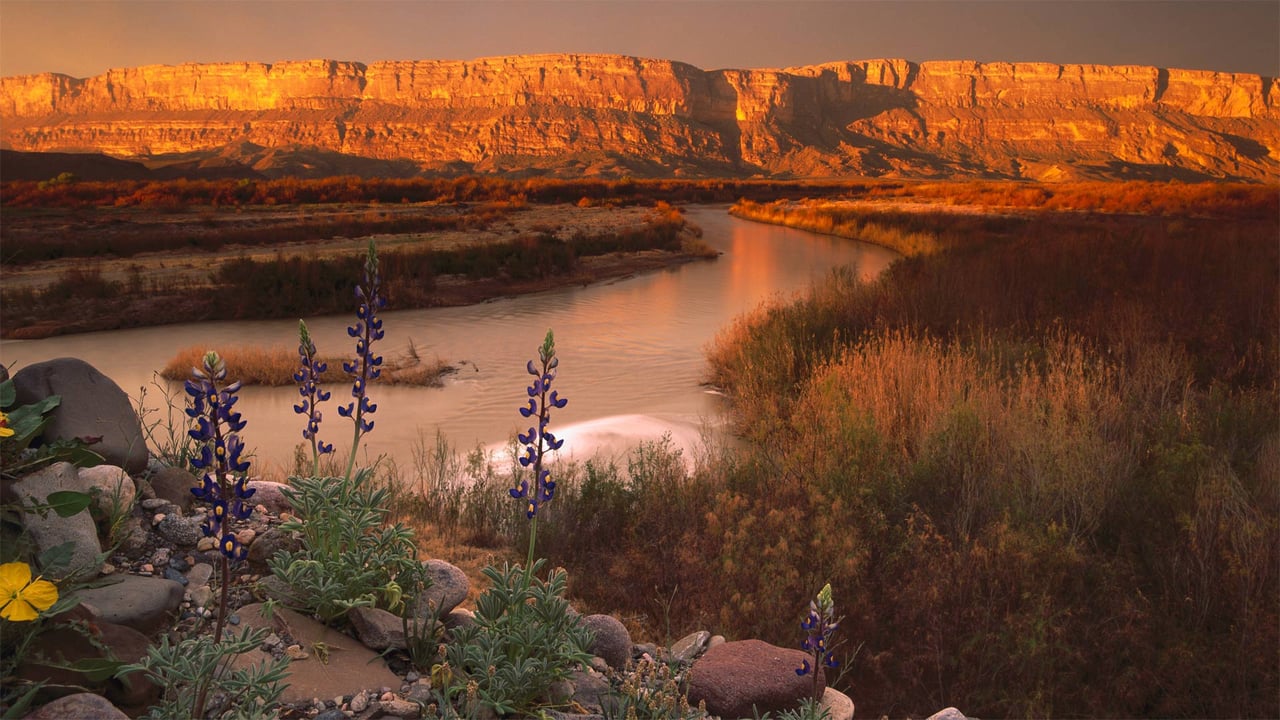 Cliffs of the Sierra Ponce and Rio Grande, Big Bend National Park, Texas (© Tim Fitzharris/Minden Pictures) desktop wallpaper