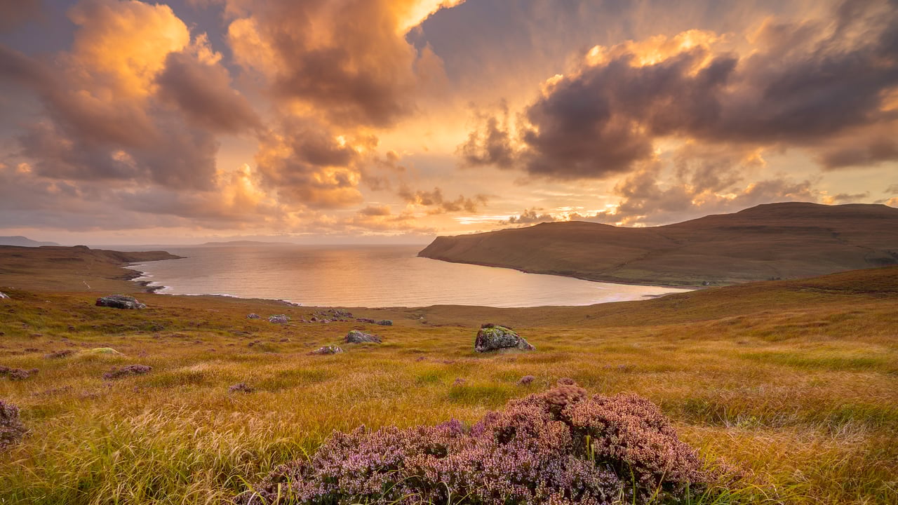 Heather growing in Glen Brittle, Isle of Skye, Scotland (© Adam Mowery/TANDEM Stills + Motion) desktop wallpaper