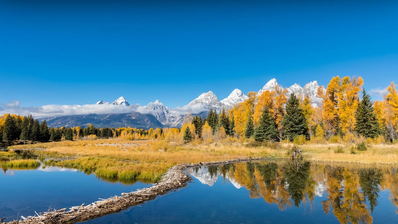 Grand Teton National Park, Wyoming (© Westend61/Getty Images) desktop wallpaper