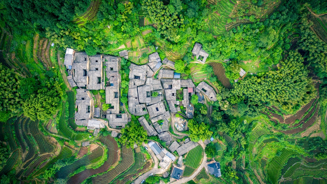 楊家堂村の茶園, 中国 浙江省 (© feng xu/Getty Images) desktop wallpaper