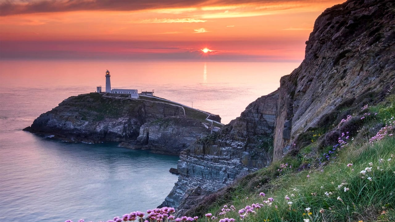 South Stack Lighthouse and coastal wildflowers at sunset, Anglesey (© Alan Novelli/Alamy Stock Photo) desktop wallpaper