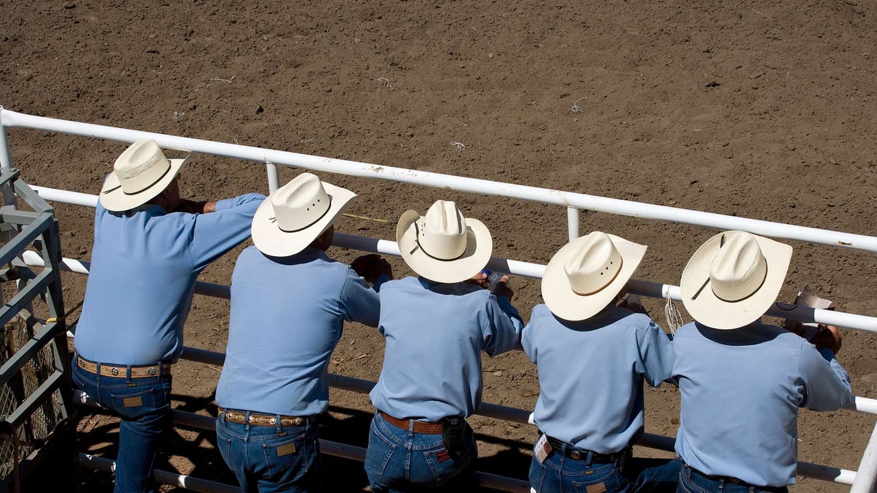 Spectators at the annual Calgary Stampede (© Pete Ryan/Getty Images) desktop wallpaper