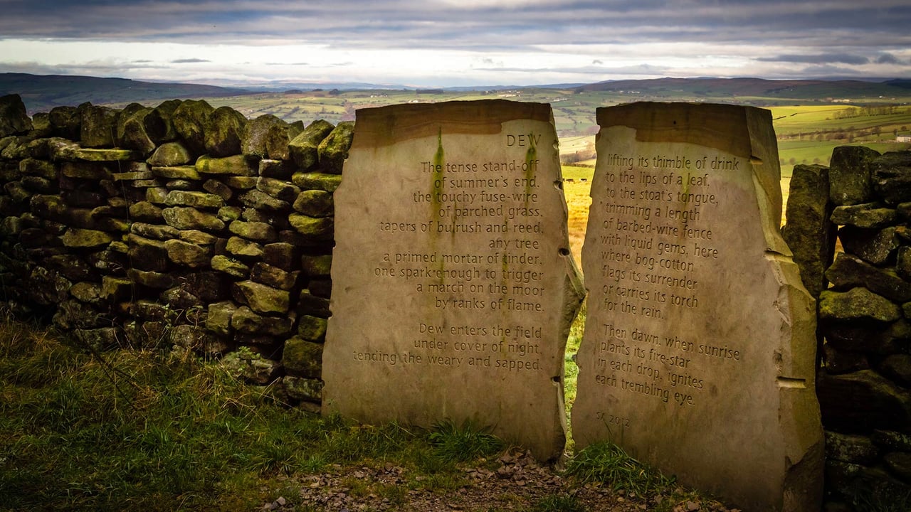 The Dew Stone, part of the Stanza Stones trail, in Yorkshire (© Rebecca Cole/Alamy) desktop wallpaper