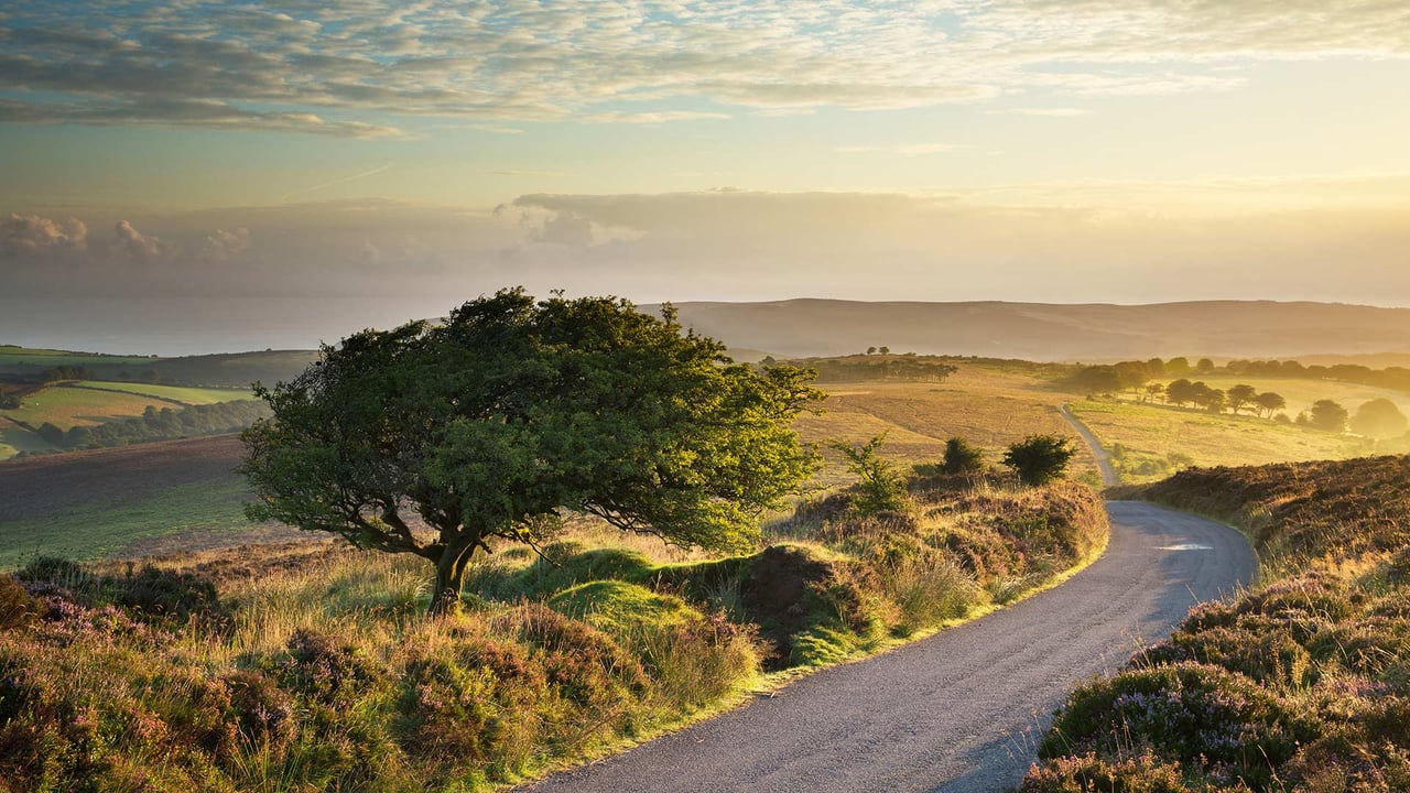 Stoke Pero Common, Exmoor-Nationalpark, England, Großbritannien (© David Noton/Alamy) desktop wallpaper