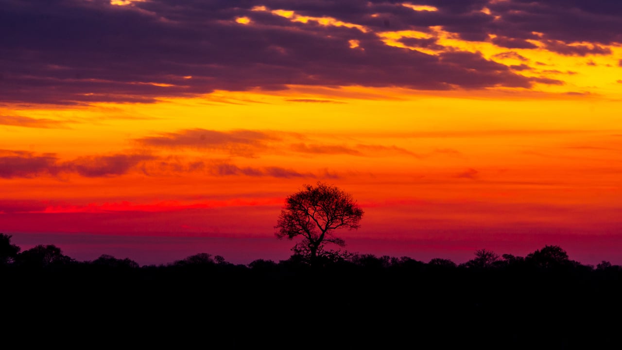 Um belo pôr do sol no Pantanal do Brasil (© Lucas Ninno/Getty Images) desktop wallpaper