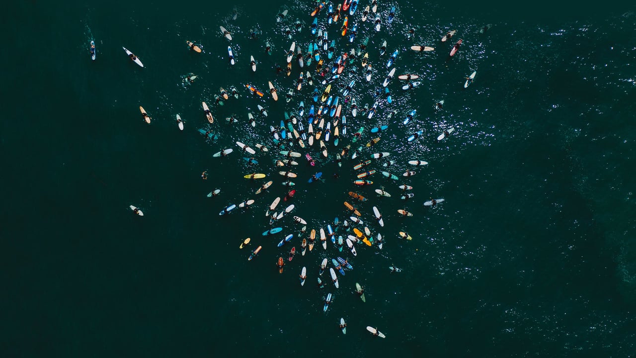 'Paddle Out for Unity' event in San Diego, California (© Brandon Colbert Photography/Getty Images) desktop wallpaper