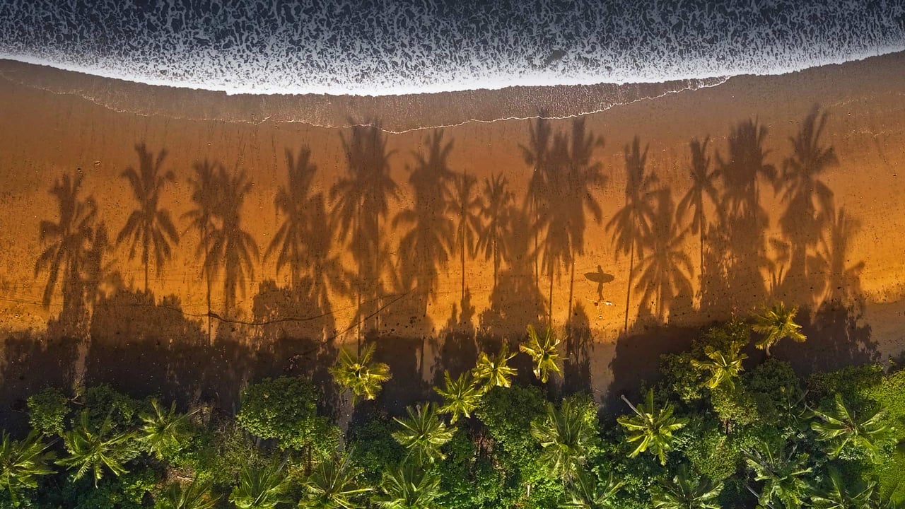 Surfer on the beach in Medewi, Bali, Indonesia (© helivideo/Getty Images) desktop wallpaper