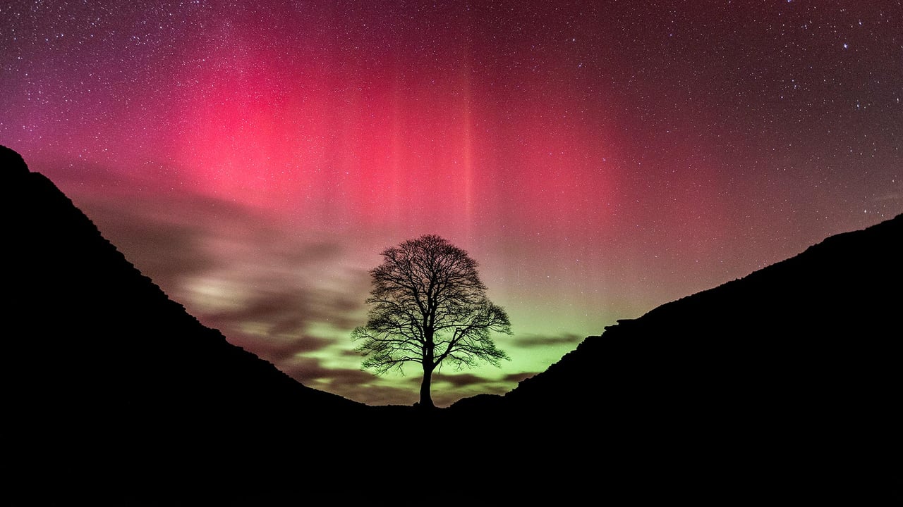 哈德良长城上空的北极光,英格兰诺森伯兰郡 (© Guy Edwardes/NPL/Minden Pictures) desktop wallpaper