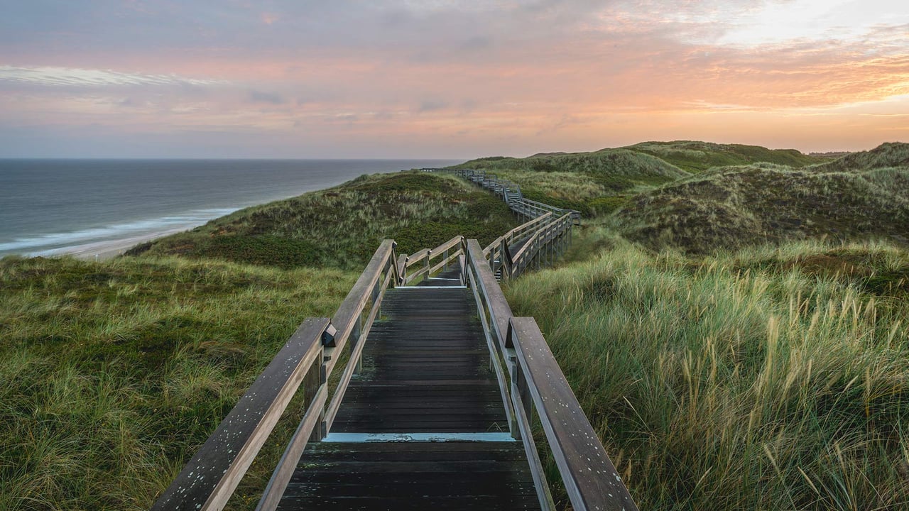 Bohlenweg bei Wenningstedt-Braderup auf Sylt, Schleswig-Holstein (© Kerstin Bittner/Westend61/offset by shutterstock) desktop wallpaper