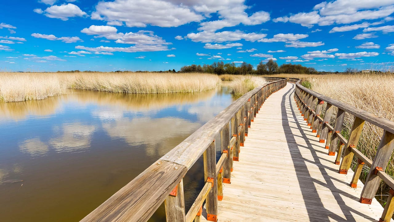 Bridge over Las Tablas de Daimiel National Park wetland, Ciudad Real, Spain (© Jacinto Marabel Romo/Shutterstock) desktop wallpaper